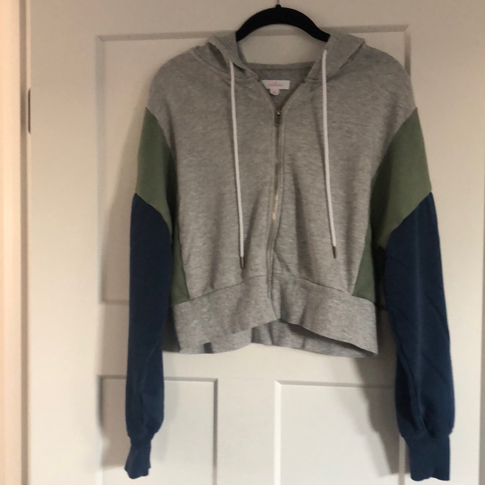 Cropped long sleeve, zip front hoodie